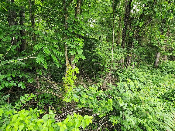 2nd image of 0 Cliffwood Dr
