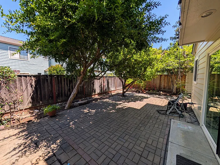 Backyard - 3 fruiting trees