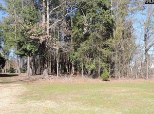 119 Pointe Overlook Dr, Chapin, SC 29036