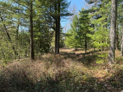 6 Ausable Point Rd, Oscoda, MI, 48750