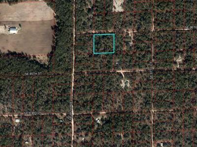 Lots 211 212 Northeast St #86, Bronson, FL, 32621