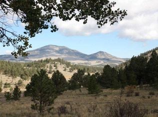 85 Cover Valley Rd, Guffey, CO 80820