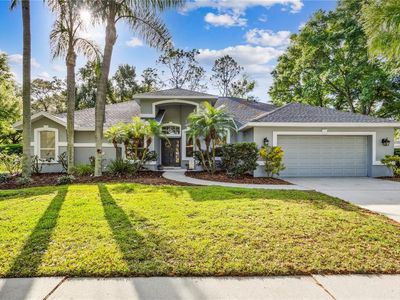 3706 Spruce Pine Dr, Valrico, FL, 33596