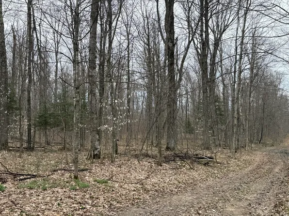 W Poglese Rd, Hessel, MI 49745