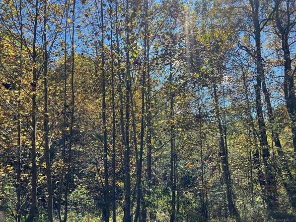 Tusquittee Rd, Hayesville, NC 28904