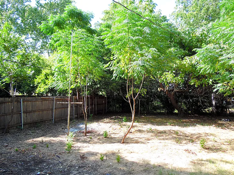 1006 Candice Ln — Photo 11