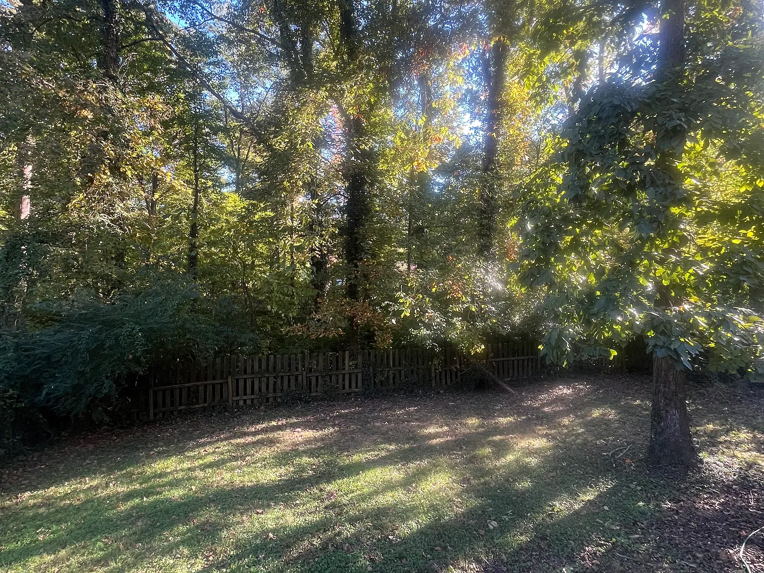 1806 E Mansfield Dr — Photo 4