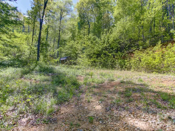 109 & 99999 Apgar Rd, Candler, NC 28715
