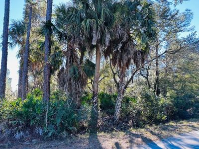 0 SW 60th St, Cedar Key, FL, 32625