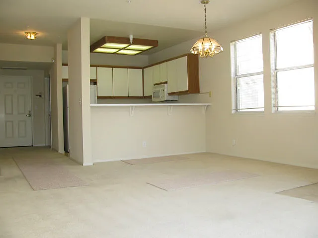 951 S 12th St #207 — Photo 9
