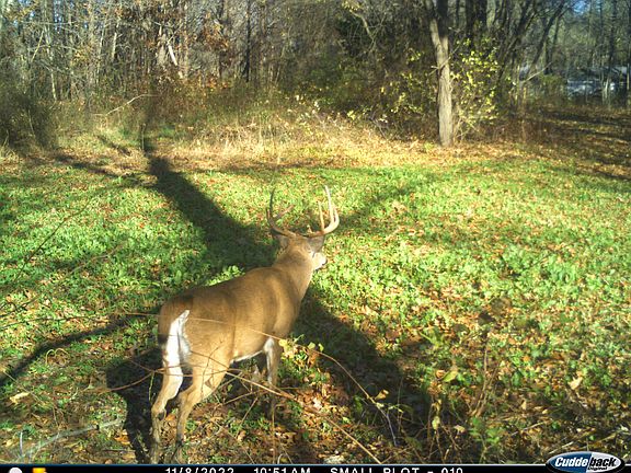 5th image of 25270 B Dr S