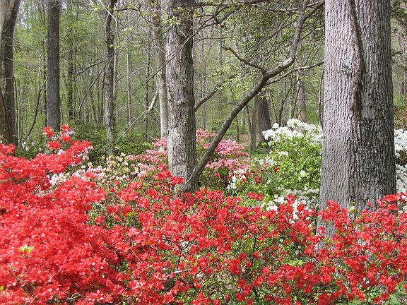 Part of what you see from the porch
