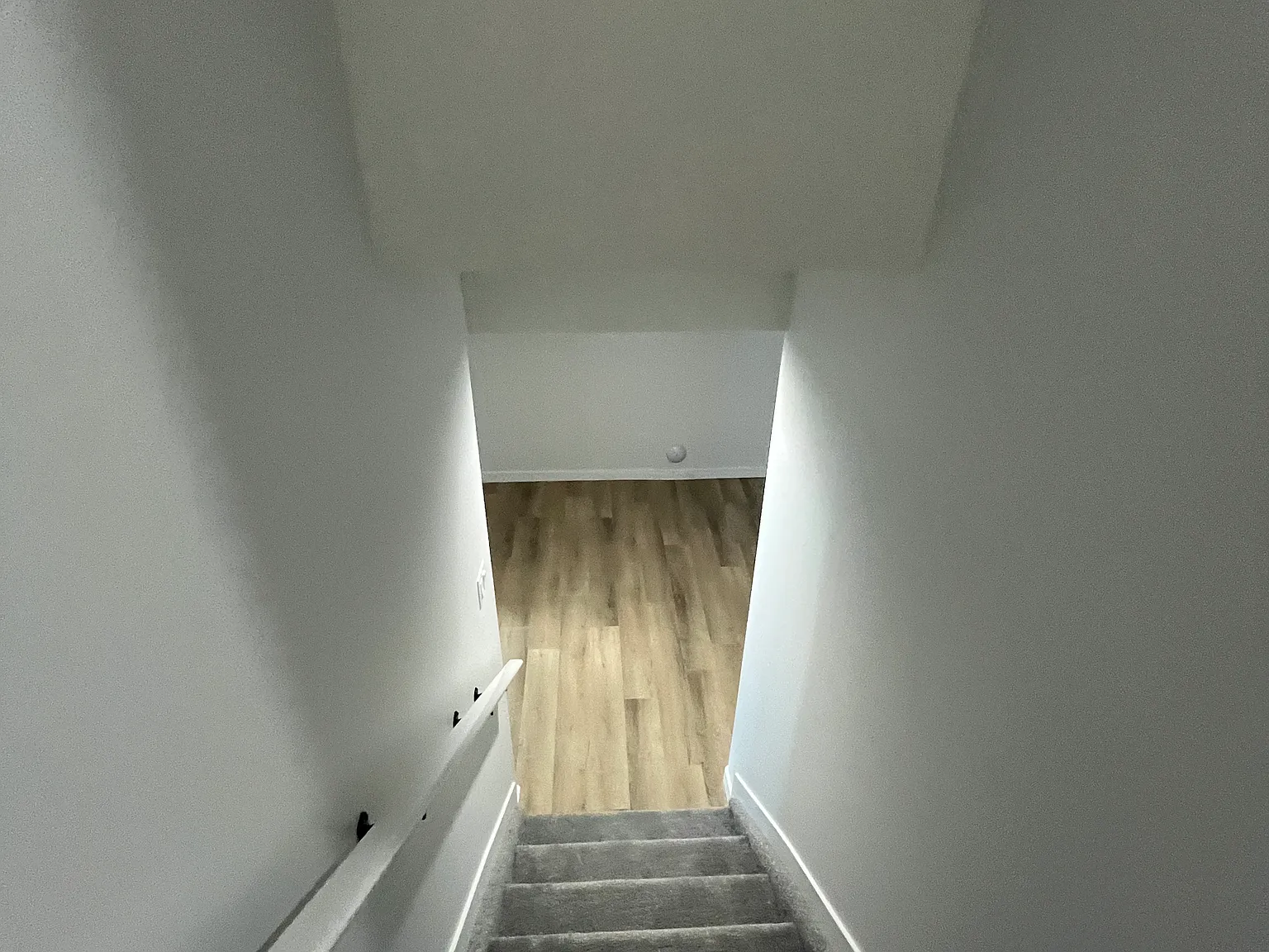 8636 181 Ave NW Basement — Photo 3