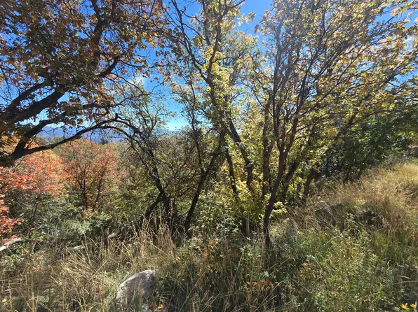 661 W Shady Ln, Coalville, UT 84017