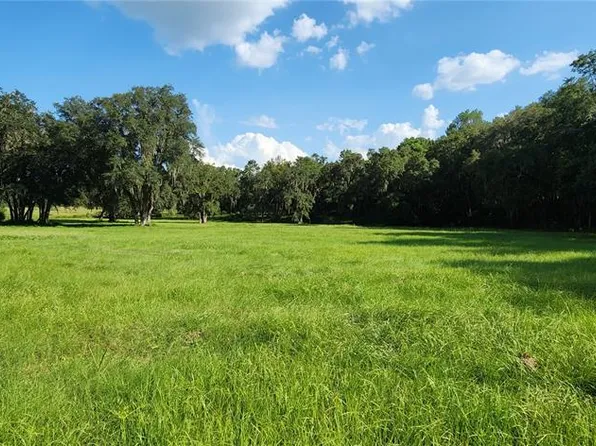 11690 NW Highway 225, Reddick, FL 32686