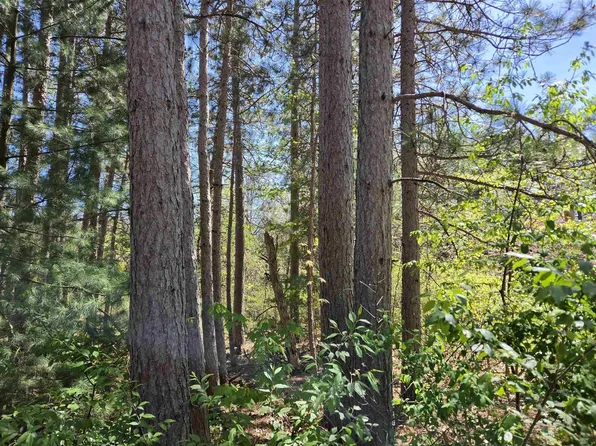 Lot 204 Raven Drive #204, New Lisbon, WI 53950