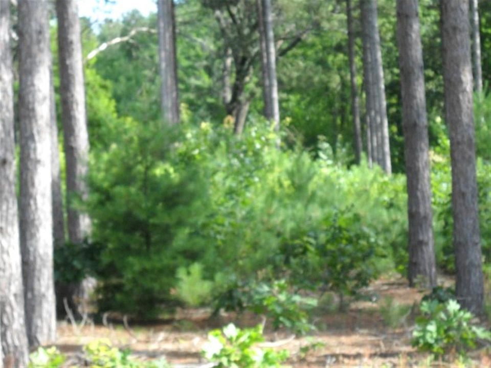 2nd image of LOT 31 Forest Rd