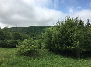 Lincklaen Rd, Truxton, NY 13158