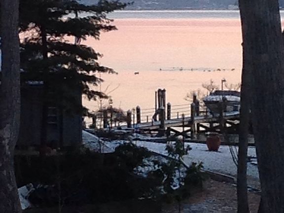 View from masterbedroom