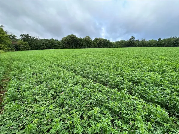 Lot 3(10 acres) 335th Avenue, Frederic, WI 54837