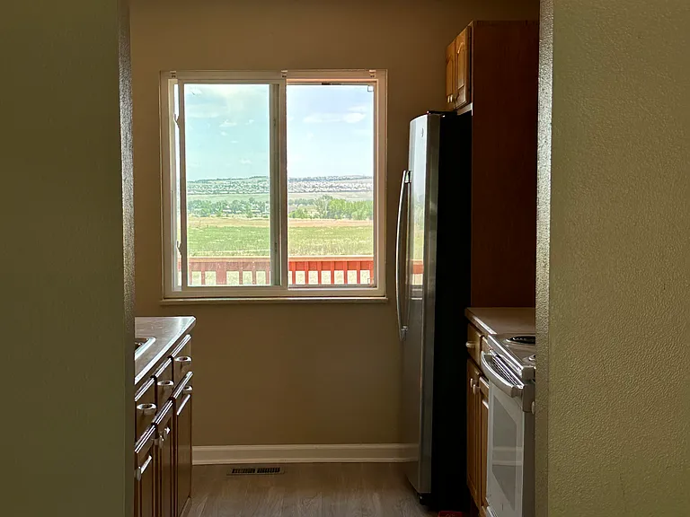 View from great room of open space