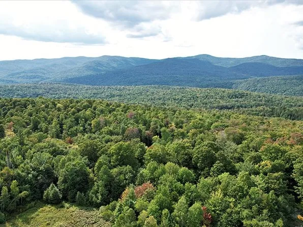 000 Braintree Hill Road, Roxbury, VT 05669