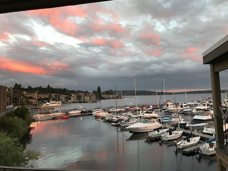 beautiful marina view