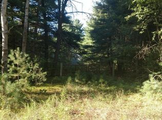 8812 Jones Rd, Howard City, MI 49329