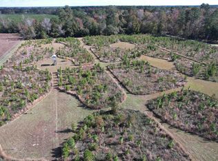 Terry Rd, Andrews, SC 29510