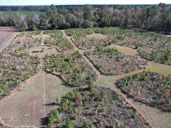 TBD Terry Rd., Andrews, SC 29510