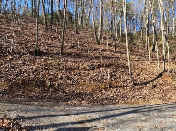 431 Lilly Ct Lot 431, Sevierville, TN 37876