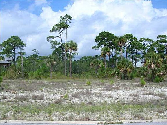 5th image of 143 Hemmingway Cir