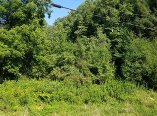 1076 Pack Fork Rd, Lizemores, WV 25125