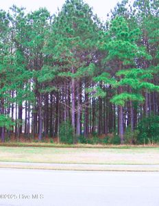 394 Autumn Pheasant Loop NW, Calabash, NC, 28467
