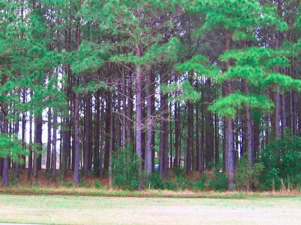 394 Autumn Pheasant Loop NW, Calabash, NC 28467