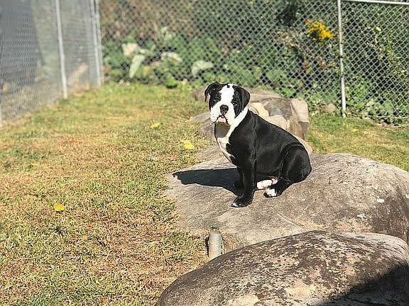 Beautiful rock landscape 