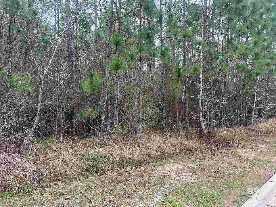 1st image of 0 Us Highway 98 Lot 3