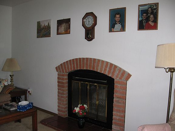 Wood burning fireplace