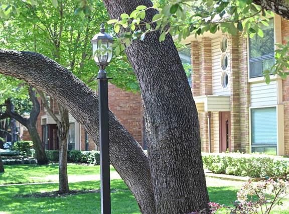 3rd image of 10019 Regal Park Ln #B