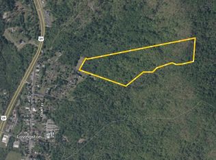 Ridge St LOT WP001, Lovingston, VA 22949