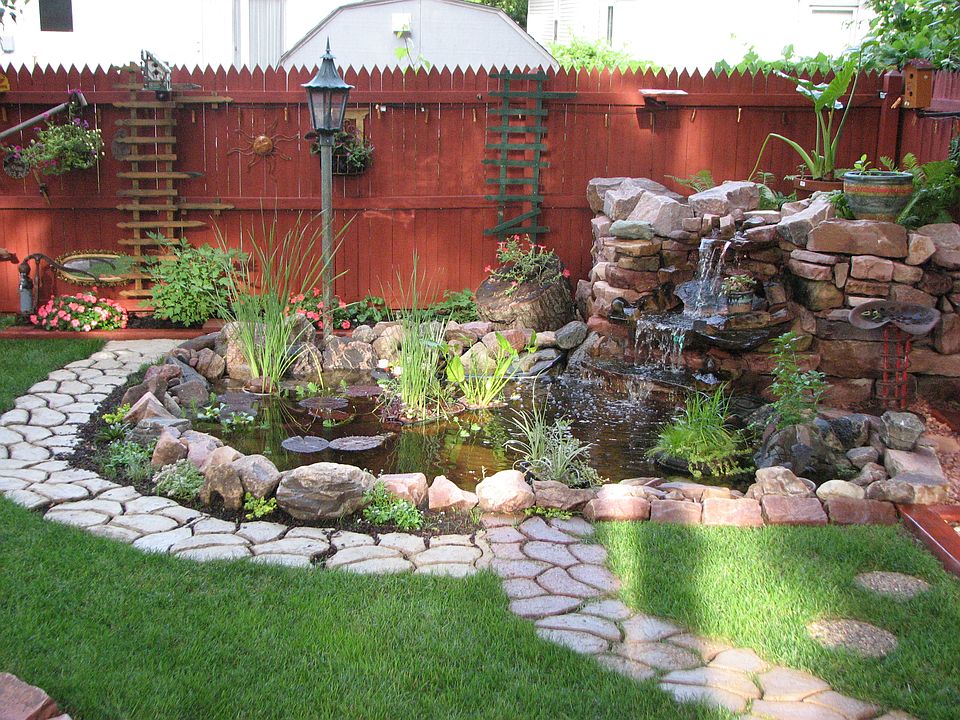 Backyard pond