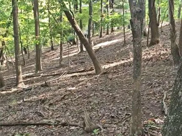 315 Windflower Dr #6229, Big Canoe, GA 30143