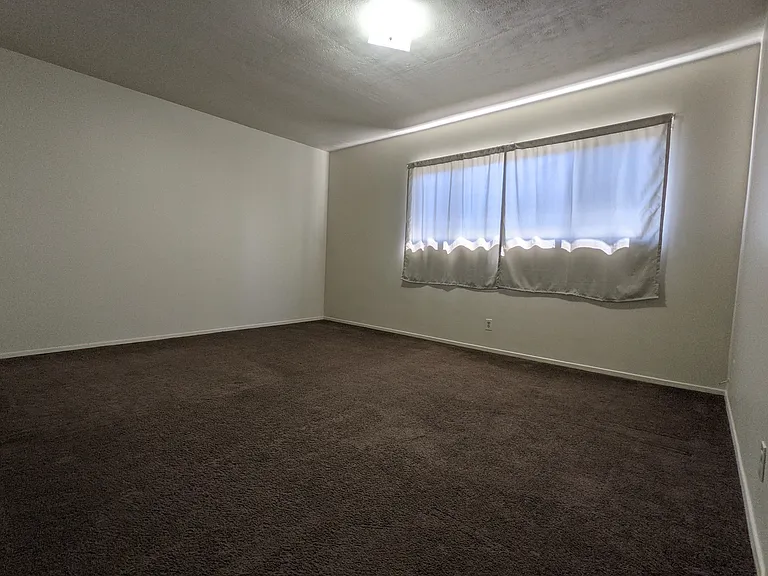 821 Olive Ave #5 — Photo 15