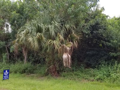 1123 SW East Louise Cir, Port Saint Lucie, FL, 34953