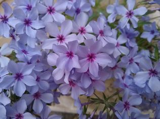 29 Allen Ave #1L, Pawtucket, RI 02860