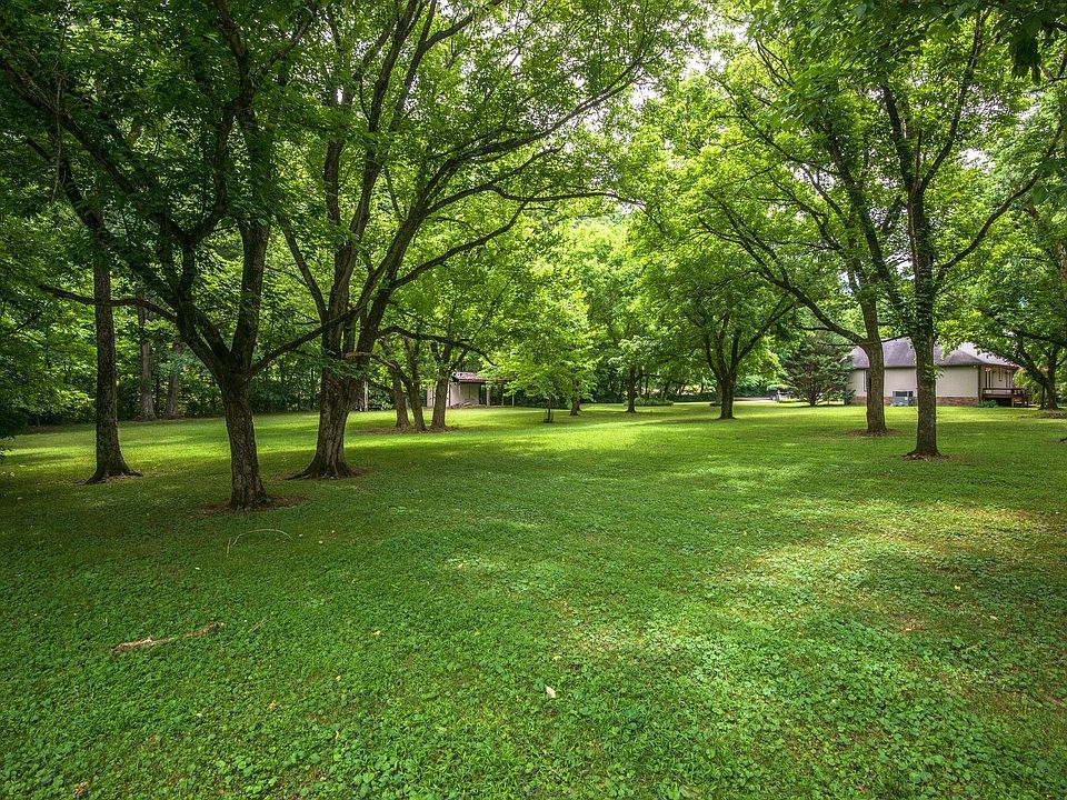 2nd image of 0 Holly Tree Gap Rd