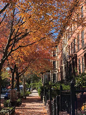 Rented by Nest Seekers International | media 21