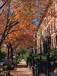 Rented by Nest Seekers International