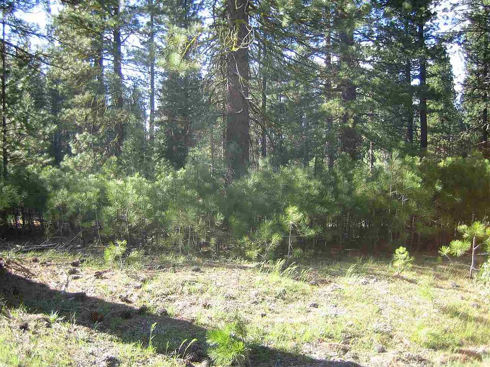 1st image of 86 Poplar Valley Rd