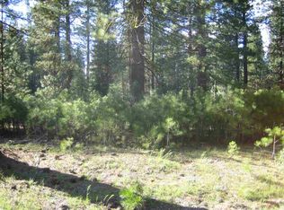 86 Poplar Valley Rd, Blairsden Graeagle, CA 96103